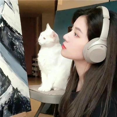 红十字星座